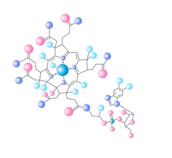 Витамин В12 защищает